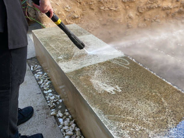 Best Roof Pressure Washing  in Shorewood Forest, IN