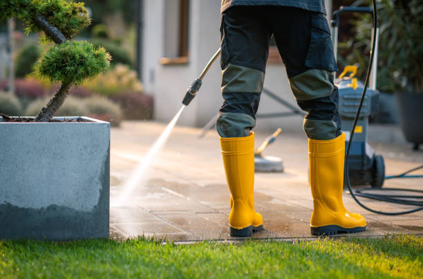 Best Roof Pressure Washing  in Shorewood Forest, IN